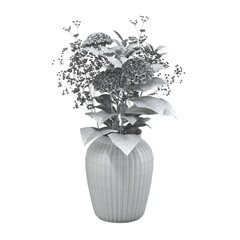 home decorative indoor plants in multiple Style no background, beautiful assets, no background flowers and plants, wire no colour.