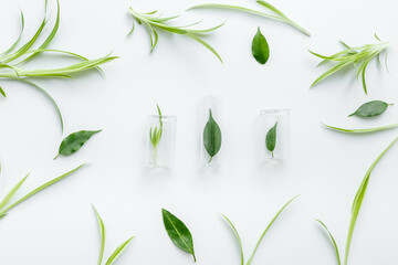Test tubes with green leaves for herbal cosmetic or medicine. Research in bio laboratory concept