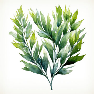 watercolor green leaves on white background clip art preview