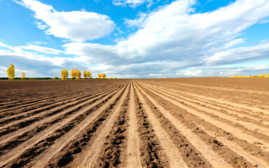 Furrows row pattern in a plowed field prepared for planting crops in spring