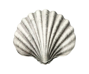 Old-time engraving of the Shell. Vector illustration design.