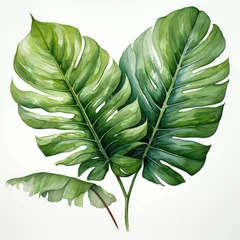 Poster watercolor tropical leave clipart, Generative Ai © creativeproartist