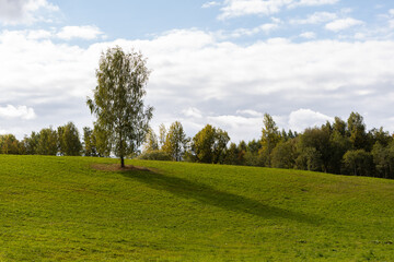 landscape with a tree in a green grass field forest in the background on a hilltop sunny cloudy day