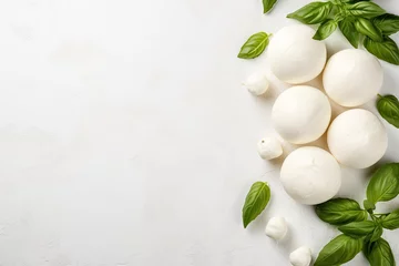 Foto op Plexiglas Mozzarella cheese collection with basil on light background top view © The Big L