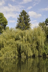 Le Loing in Moret sur Loing