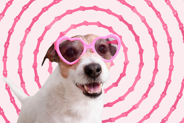 Lovely funny dog wearing heart-shaped sunglasses against background with spiral pattern made of...