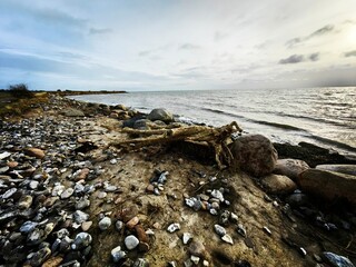 rocks on the beach