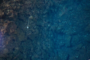 Blind white crabs in the inner pool of the cave of Los Jameos del Agua. Light at the end of the...