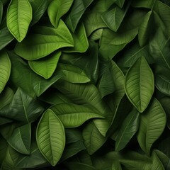 Fototapeta premium Green leaves pattern. Green leaf wallpaper