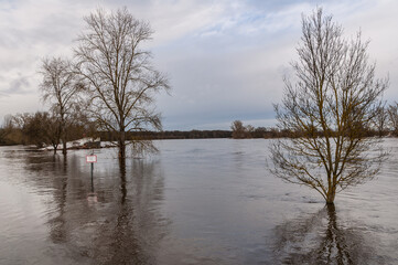 Hochwasser im Winter an der Elbe in Dessau-Roßlau 2023