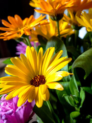 beautiful multicolored bouquet of calendula and asters