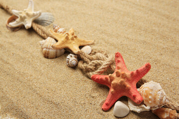 Beautiful sea stars, shells and ropes on sand