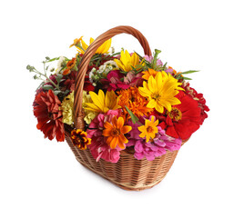 Beautiful wild flowers in wicker basket isolated on white