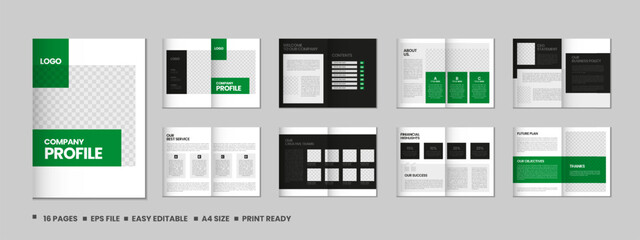 Company profile, multipage flyer brochure, 16 pages portfolio magazine, annual report, catalog and a4 multipage template design