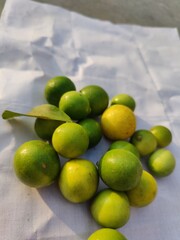 Lemons are on the ground with the background