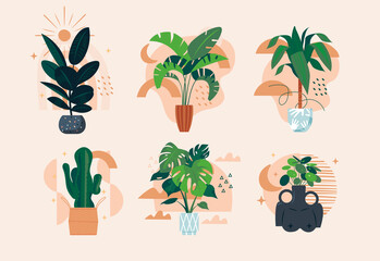 Hand drawn flat house plants mini illustration set with decorative indoor plants