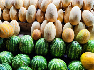 Fresh ripe green watermelons and sweet yellow melons. There are a lot of round Fruits on the...