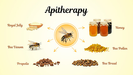royal jelly, honey, propolis, bee bread, pollen, bee venom isolated
