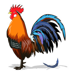 chicken, female chicken, chicks, Hen silhouette isolated on white background.chicken silhouette set.chicken family