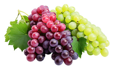 Grapes Unveiled On Isolated Background