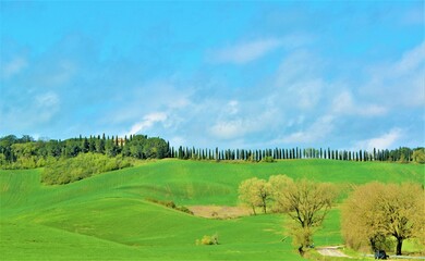 Naklejka premium Toscana