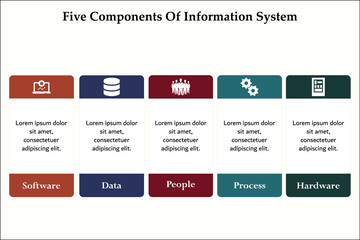 Five Components of Information System - Software, Data, People, process, Hardware. Infographic template with icons