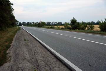 Empty asphalt road and floral field of different grass and flowers in evening time. Suburban...