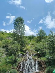 Waterfall in the woods, Waterfall in forest, trees, 