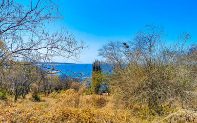Beautiful city seascape landscape natural panorama view Puerto Escondido Mexico.