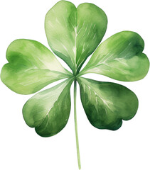 Lush Green Five Leaf Clover with Morning Dew, shamrock grass, Luck Symbol, Watercolor style, illustration, Irish, St. Patrick's day, PNG, Transparent, isolate.