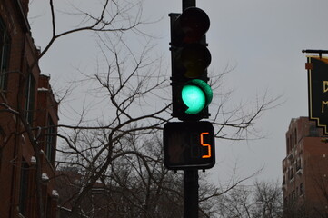 Traffic light on winter