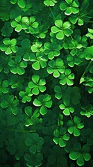 Green shamrock clover leaves background. Saint Patrick's day concept. Clovers illustration, print for background, wallpaper, template, web, poster, greeting card, invitation..