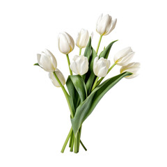Tulips are a symbol of love and romance. popularly used for wedding decorations and bridal bouquets.