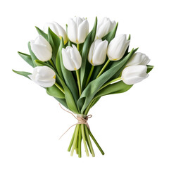 beautiful white tulip is a symbol of tranquility, beauty, and spirituality.