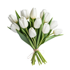flower - Tulip (White) flowers meaning Forgiveness (4)