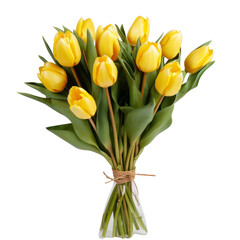 nature, Tulip (Yellow) flowers meaning Cheerful thoughts (2)