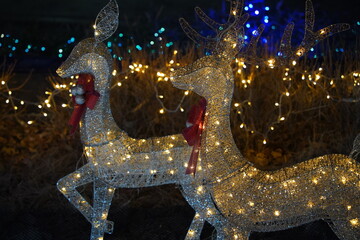 Rudolph deer twinkling light bulb decoration