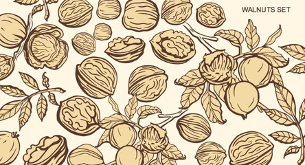 Isolated vector set of walnuts in vintage style. Hand drawn leaves and natural healthy food nut pieces collection. Diet snack vector illustration. Ingredient for nut butter and paste.