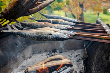 Fototapeta na wymiar Barbecue stockfish grilled trout fish on stocks with fire smoke