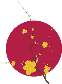Happy Lunar New Year. Ochna integerrima tree branch vector. Ochna flower clip art. Vietnam traditional Tet flower vector, hoa mai. Apricot blossom