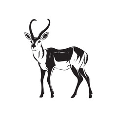 Antelope Vector Images
