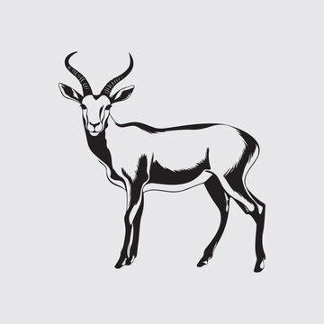 Antelope Vector Images