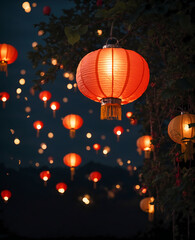 Obraz premium Chinese lantern in the night, Chinese New Year