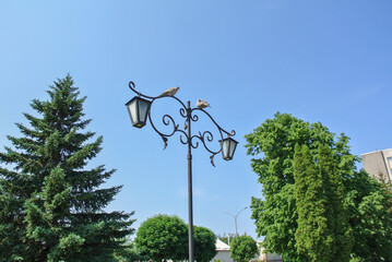 street electric lamp post at