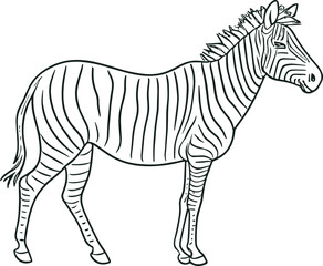 Fototapeta na wymiar African zebra side view outline striped silhouette animal design flat vector illustration isolated on white background. AI generated illustration.