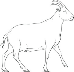 Goat linear icon silhouette. Goat side view linear silhouette. Farm goat animal logo design. goat line art. Vector illustration. AI generated illustration.