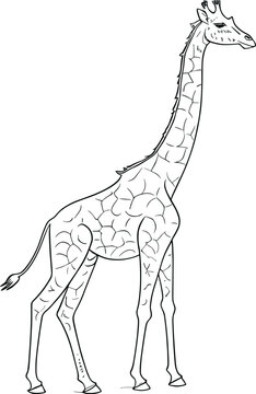 Giraffe coloring book for adults vector illustration. Anti-stress coloring for adult. Zentangle style. Black and white lines. Lace pattern. AI generated illustration.