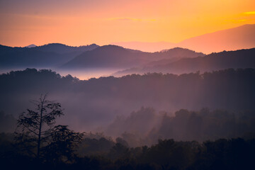 Sunrise over the Great Smoky Mountains in Tennessee. These Blue Ridge mountains are like no other!