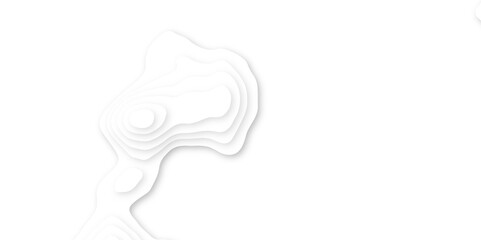 White paper cut decoration textured with wavy layers 3d topography relief background. Abstract white paper cut banner. Geometric layered curve line white vector background. 