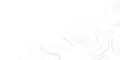 White paper cut decoration textured with wavy layers 3d topography relief background. Abstract white paper cut banner. Geometric layered curve line white vector background. 